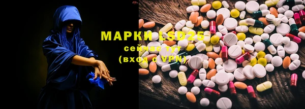 крисы Няндома