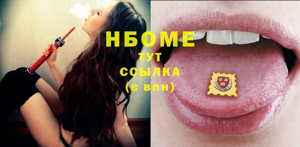 крисы Няндома
