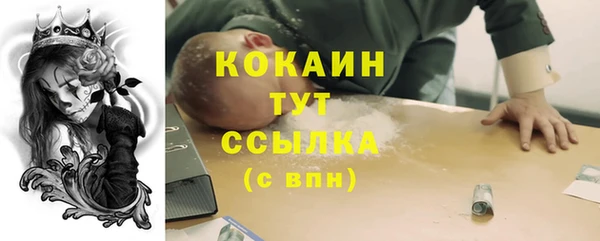 дмт Нязепетровск