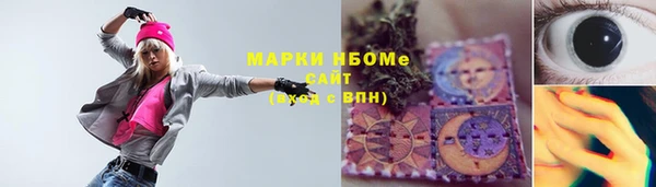 крисы Няндома