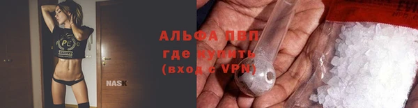 крисы Няндома