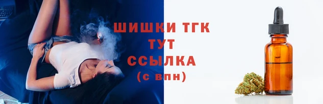 крисы Няндома