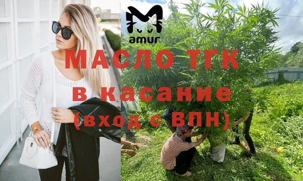 крисы Няндома
