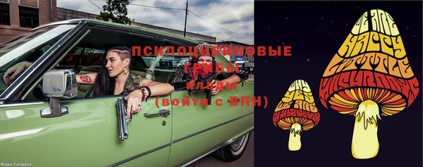дмт Нязепетровск