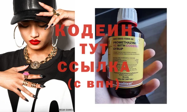 крисы Няндома