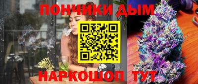 прущие грибы Абакан
