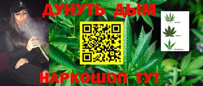 прущие грибы Абакан