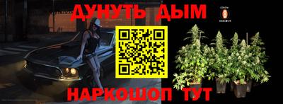 прущие грибы Абакан