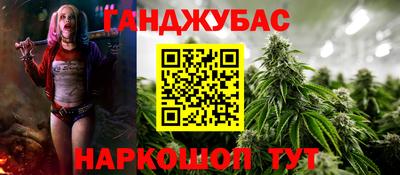 прущие грибы Абакан