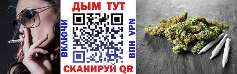 Бошки марихуана конопля  Абакан 